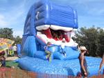 bouncy_whale